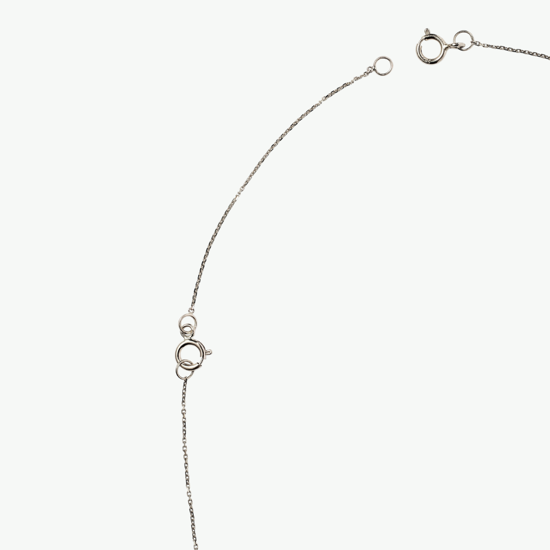 Extensor Ouro Branco